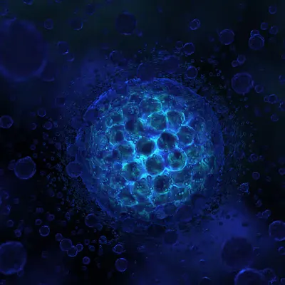 Protist (2003)