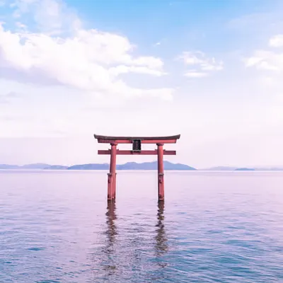Fantastic Torii