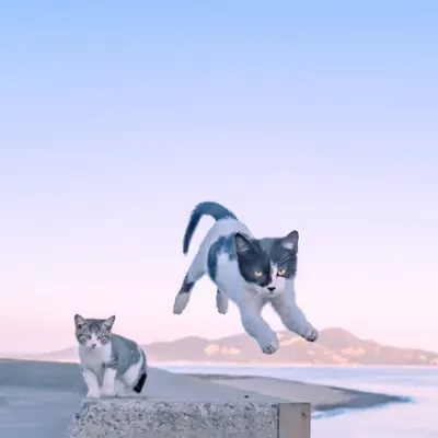 The Photo Like a Composite