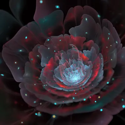Shadowbloom (2019)