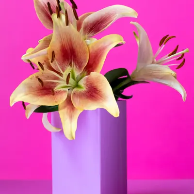 Lilies in a Box