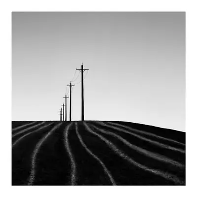 Gray Farm