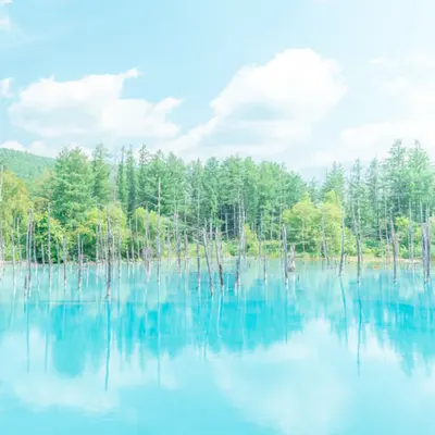Blue Pond