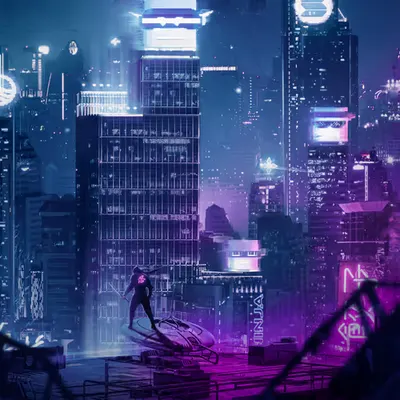 Sol Ninja Cyber City