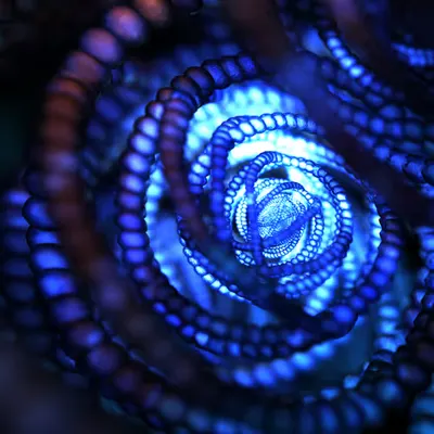 Recursion (2015)