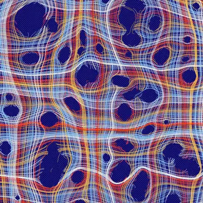 Warp