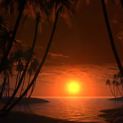 Tropic of Cancer (2001)