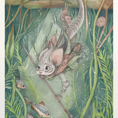 Pond Dipper