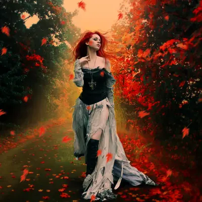 Fall is Here