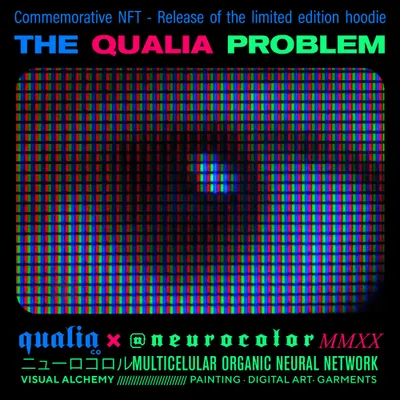 The Qualia Problem (Hoodie Access)