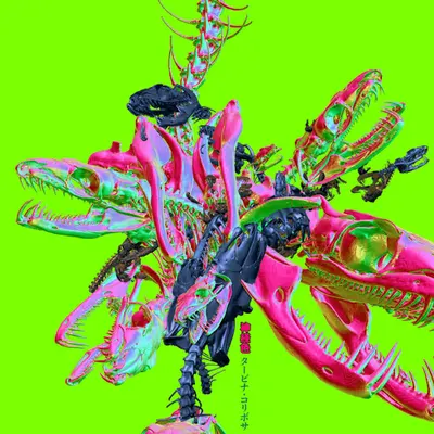B. constrictor {acid green edition}