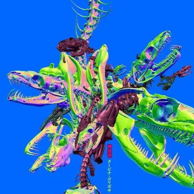 B. constrictor {cerulean edition}