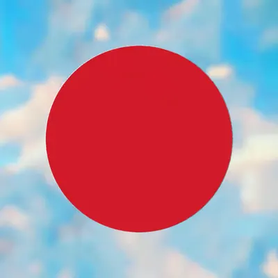 CONTRACT PLACEHOLDER