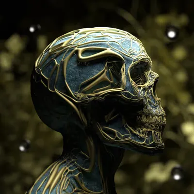 Alien Infused Skull #1/8