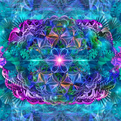 PLEXUS