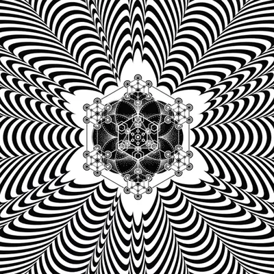 HexaFlower