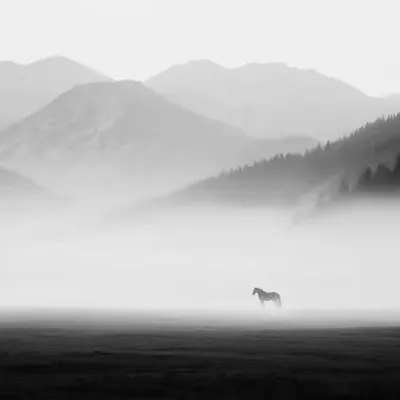 Serene