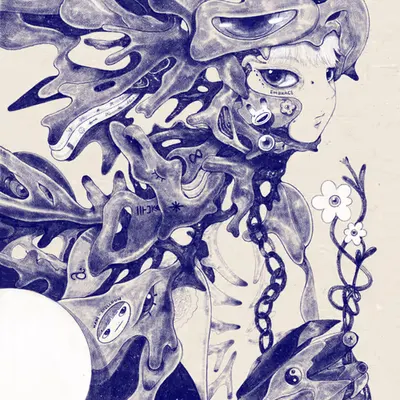 The Shell#3