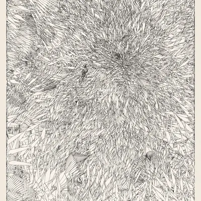 #382000191