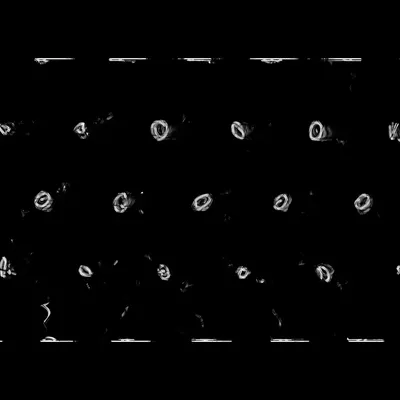 #383000013