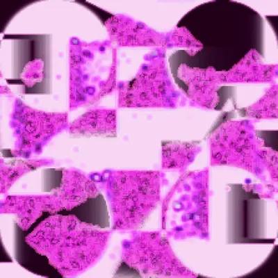 #395000028
