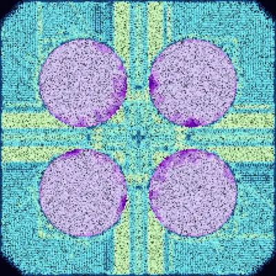 #395000195