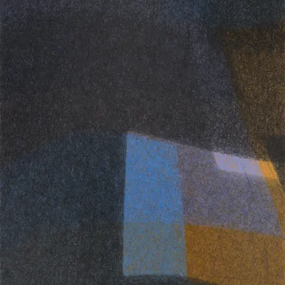 #409000219