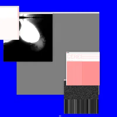 #412000266