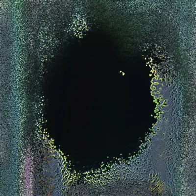 #416000067