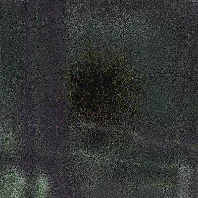 #416000223
