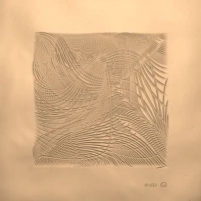 #417000081