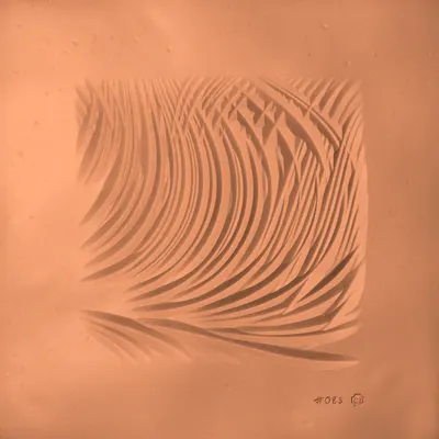 #417000083