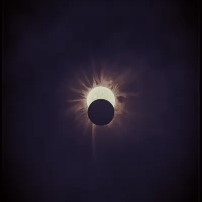 #423000071