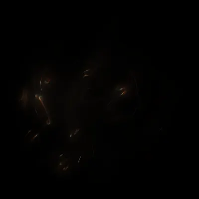 #424000062