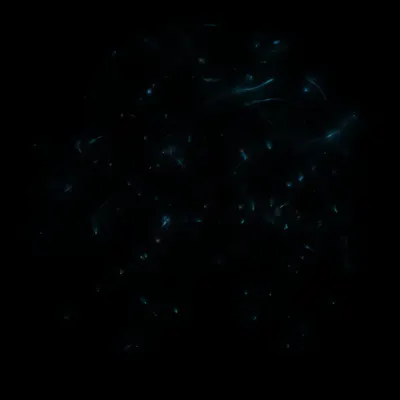 #424000064