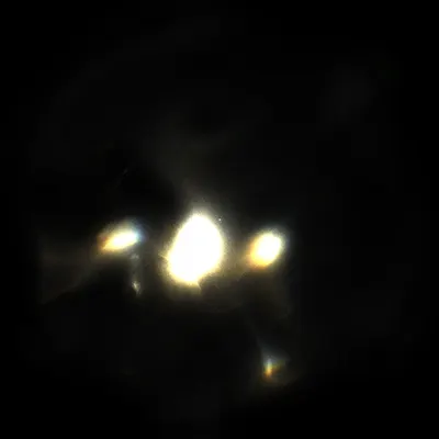 #424000086