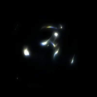 #424000207