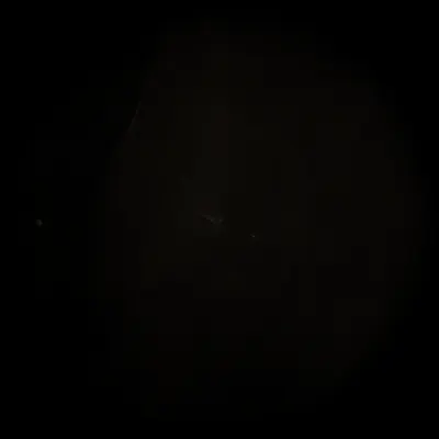 #424000232