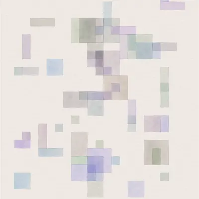 #427000008
