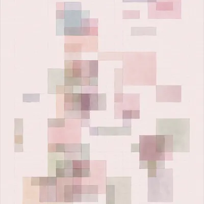 #427000017