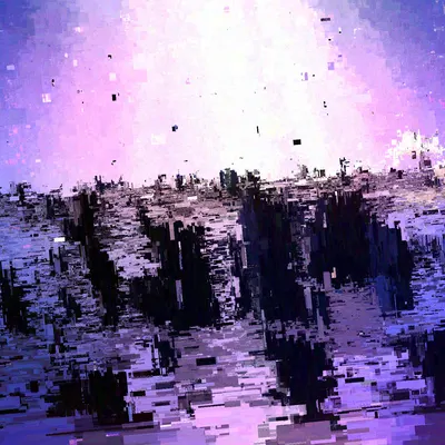 #428000081