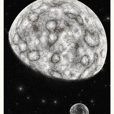 #434000195