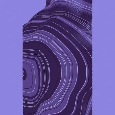 #443000063