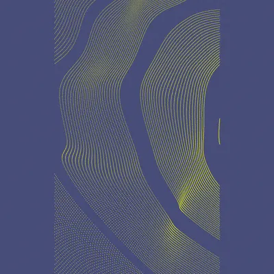 #443000175
