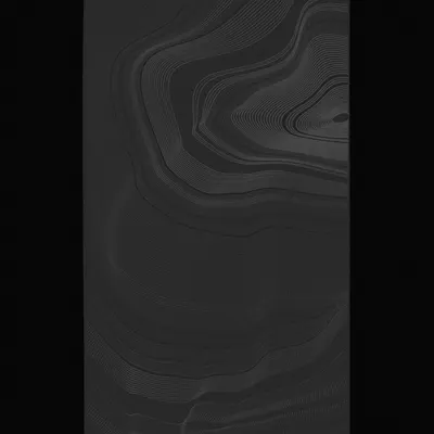 #443000274