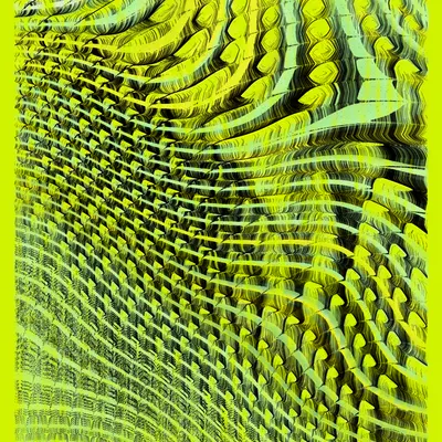 #445000015