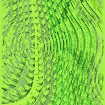 #445000021