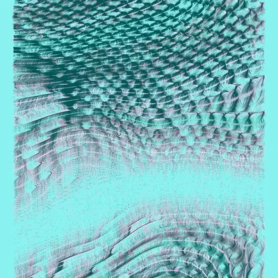 #445000026