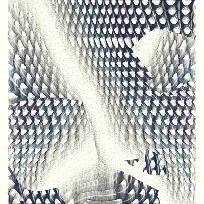 #445000081