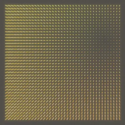 #448000121